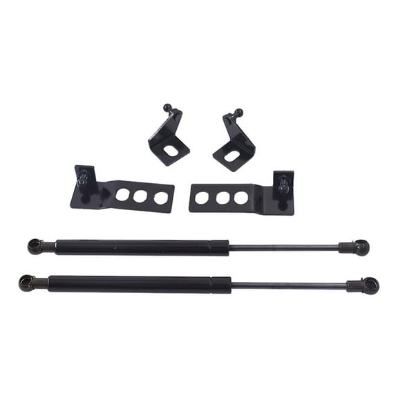 LABLT Engine Hood Lift Support Shock Strut Damper 2 Pcs/Set for Toyota RAV4 2019-2020