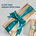 thumbnail image 7 of Garden Republic Bonsai Tree Kit, All-in-One Indoor Grow Kit, 7 of 7
