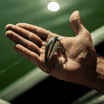 thumbnail image 3 of 6th Sense – Crush Series Squarebill Crankbait Bass Fishing Lure, Shallow Diving Hard Bait, 3 of 8