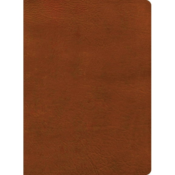 NASB Study Bible, Burnt Sienna Leathertouch, Indexed, (Hardcover)