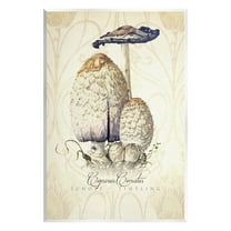 Stupell Industries Vintage Scientific Mushroom Study Botanical & Floral Painting Unframed Art Print Wall Art