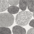 thumbnail image 5 of Chesapeake Pebbles 2pc Grey Bath Rug Set (21"x34" & 24"x40"), 5 of 6