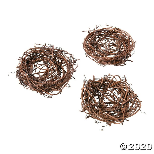 Small Twig Bird’s Nests