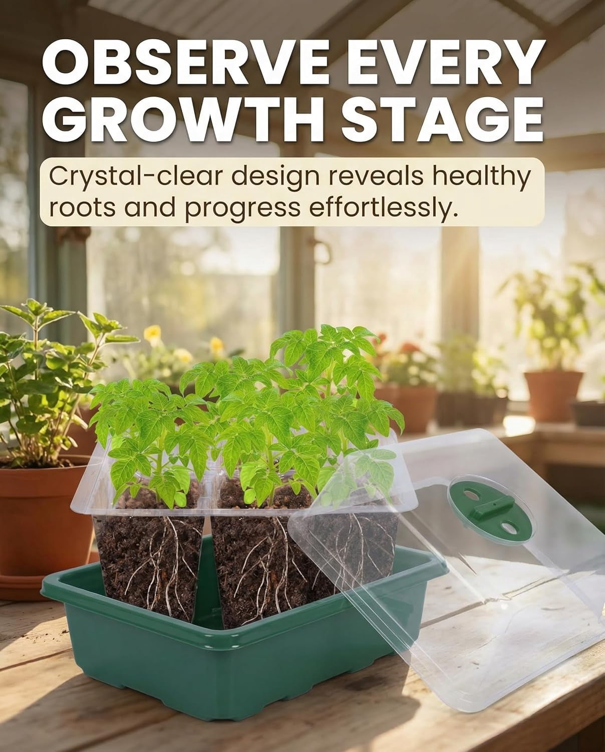 Seed Starter Tray Kit with Humidity Dome, 120 Cells Total Tray and Base for Germination