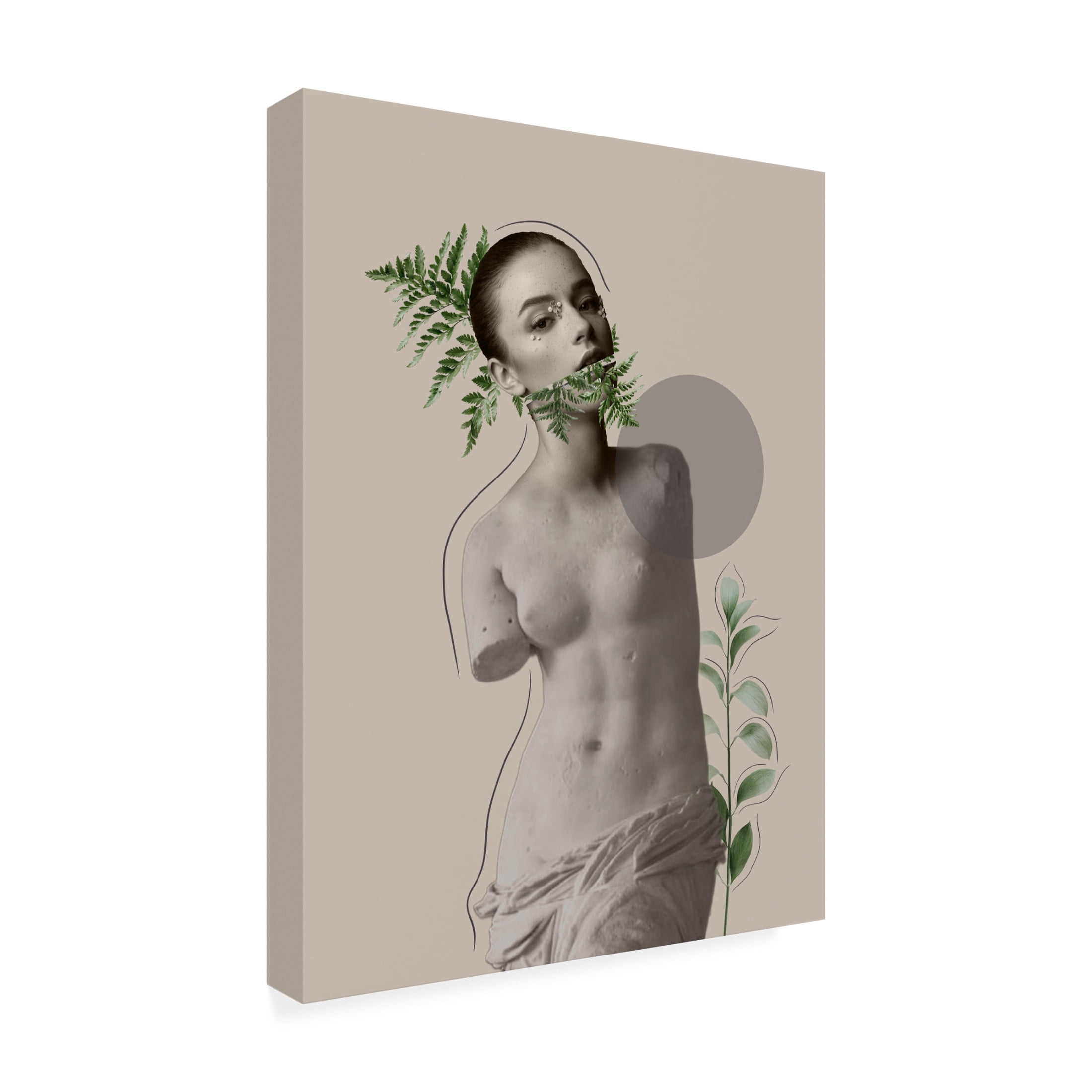 Canvas Wall Art - Leila 'LILI Collection Creative Art Series' Wall Art for Living Room, Bedroom, or Office Décor by Trademark Fine Art - 24 x 32 Inches