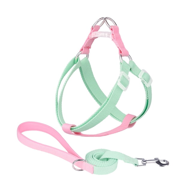 Correa para el pecho para mascotas, chaleco transpirable de verano, correa para el pecho para perros Zhivalor Correas y Collares para Perros