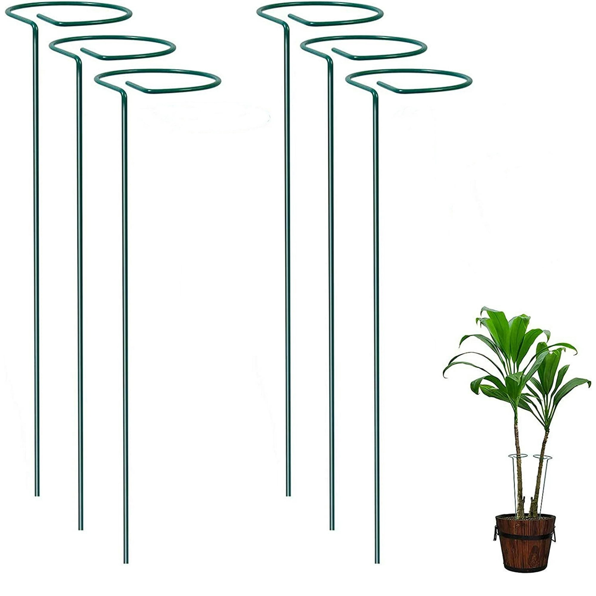 TRIANU 6 Pack Plant Support Stakes 11.8" Garden Single Stem Amaryllis Plant Cage Metal Support Rings for Peony Lily Orchid Rose Potted Flower Stem, Green