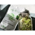 thumbnail image 5 of Organic Broccoli Sprouting Seeds, 1 Pound — Non GMO, Kosher, Sproutable, Raw, Vegan — by Food to Live, 5 of 6