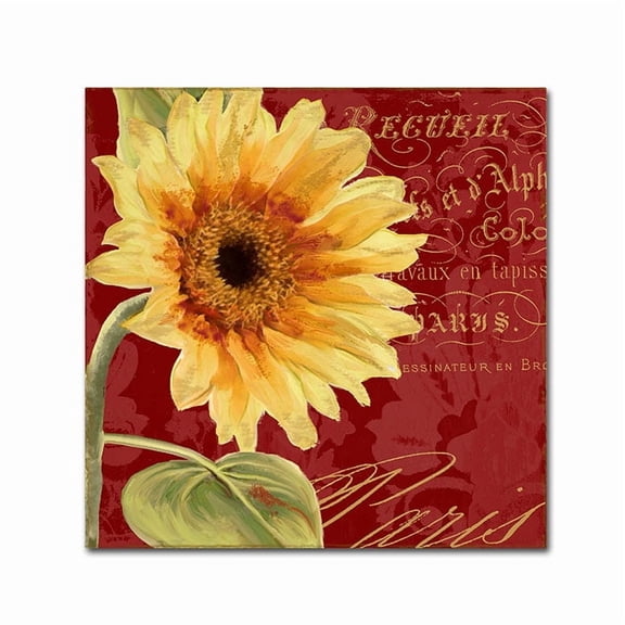 Trademark Fine Art "Ete IV" Canvas Art by Color Bakery