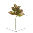 thumbnail image 2 of Vickerman 31" Artificial Autmn Magnolia Leaves, No Blossom, Set of 3, 2 of 4