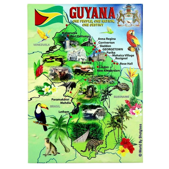 Guyana Graphic Map and Attractions Souvenir Fridge Magnet 2.5" X 3.5"