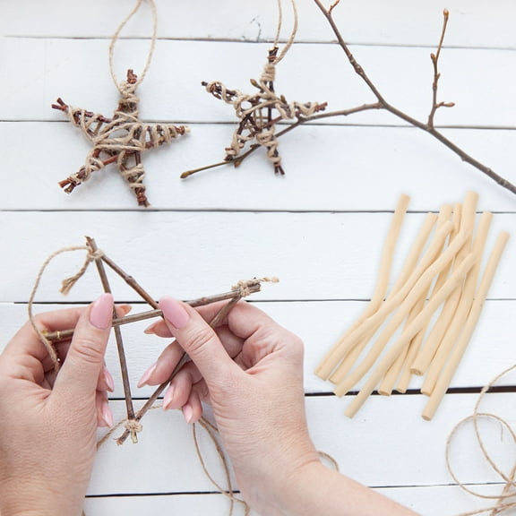 Dytern DIY 10pcs Wood Sticks Natural Sticks Wood Craft Sticks for DIY Crafts Photo Props