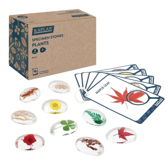Kaplan Early Learning Company Specimen Stones: Plants - 9 Pieces