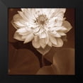 thumbnail image 2 of Swanson, Rebecca 12x12 Black Modern Framed Museum Art Print Titled - Lotus Welcome, 2 of 5