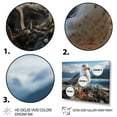 thumbnail image 3 of Designart "Seagull Portrait Perched on a Rock" Animals Floater Framed Wall Decor, 3 of 7