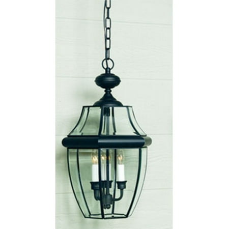 Quoizel Newbury NY1178K Outdoor Hanging Lantern