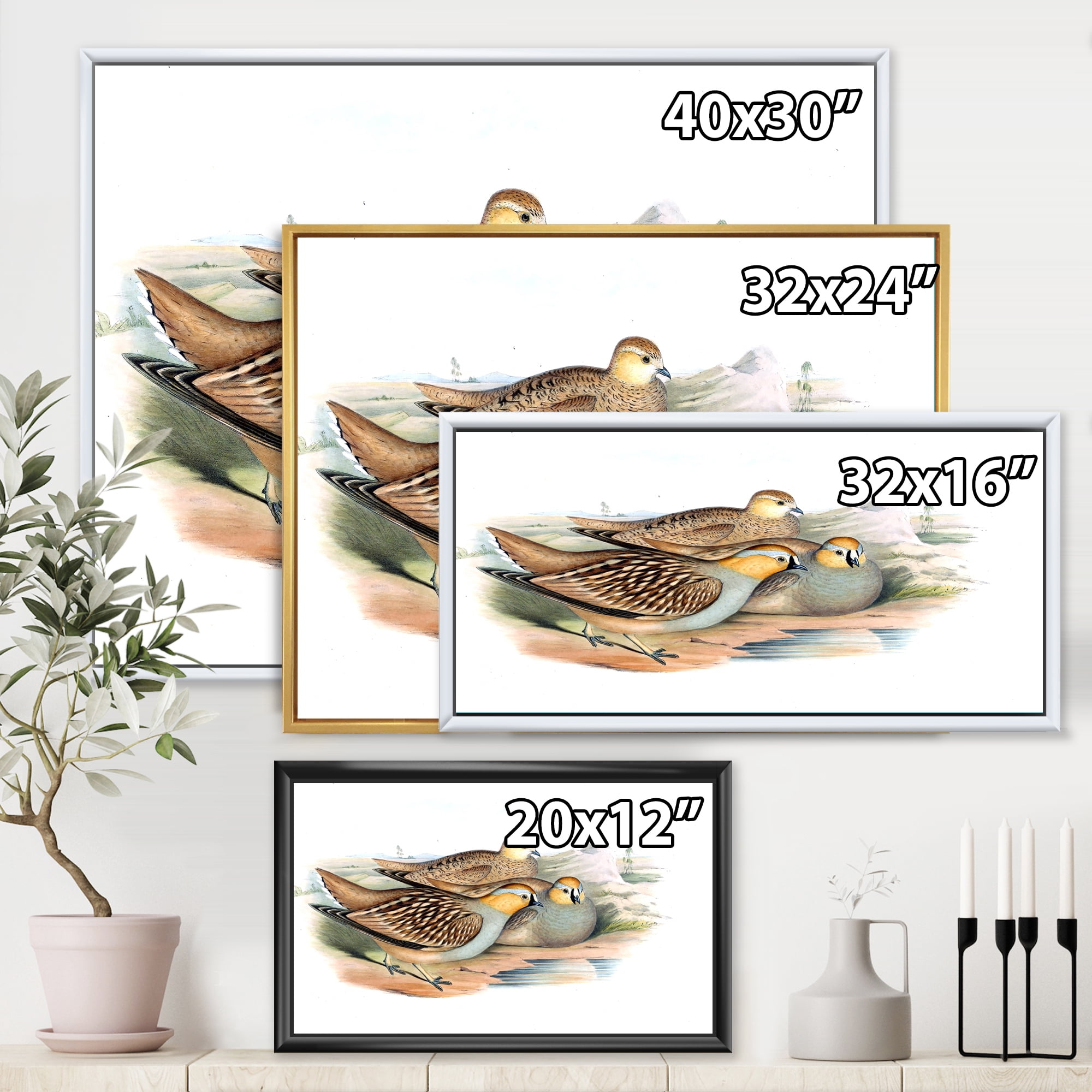 Designart 'Ancient Birds In The Wild III' Traditional Framed Canvas Wall Art Print