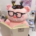 thumbnail image 1 of Variety Pig Big Nose Pig Plush Toy Doll Doll, 1 of 4