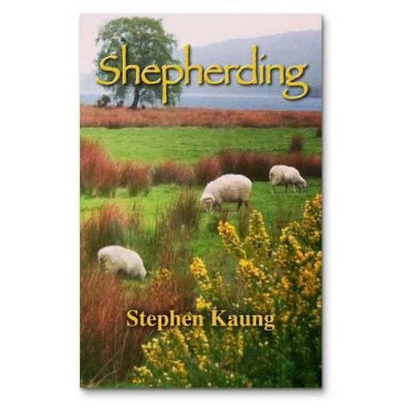 Pre-Owned Shepherding (Paperback) 1937713377 9781937713379