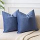 thumbnail image 1 of Chenchen Decorative Pillow Covers Set of 2 22x22 Velvet Throw Pillow Covers for Couch Sofa Bed Soft Cushion Covers Cases with Hidden Zipper for Living Room Home Decor,Blue, 1 of 1