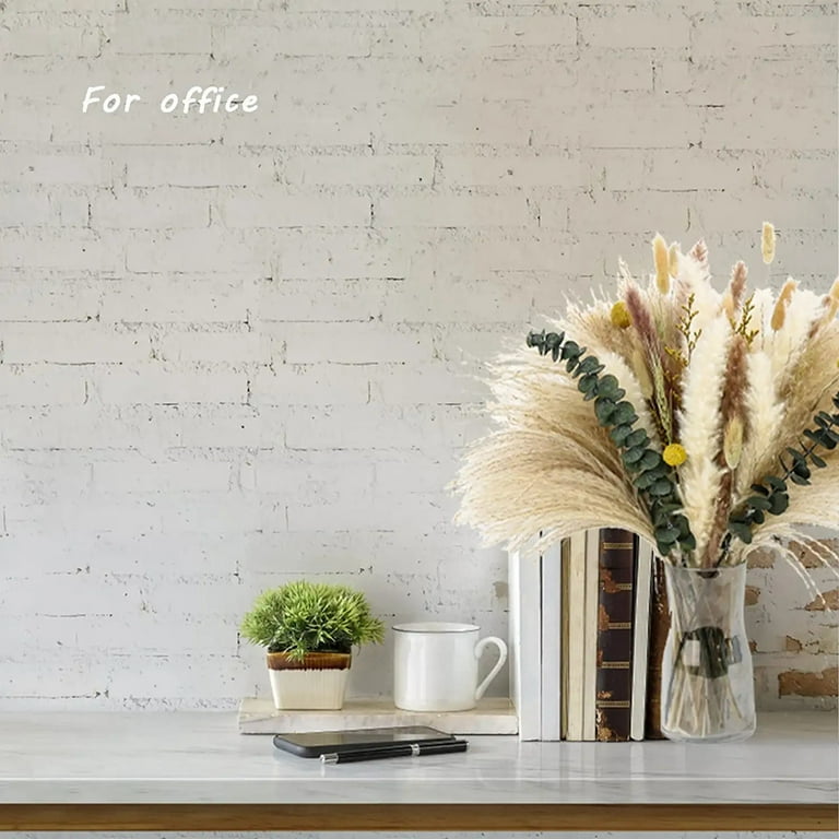 Dried 2024 plants decor