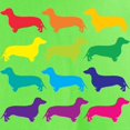 thumbnail image 3 of CafePress - Rainbow Dachshunds Light T Shirt - Light T-Shirt - CP, 3 of 4