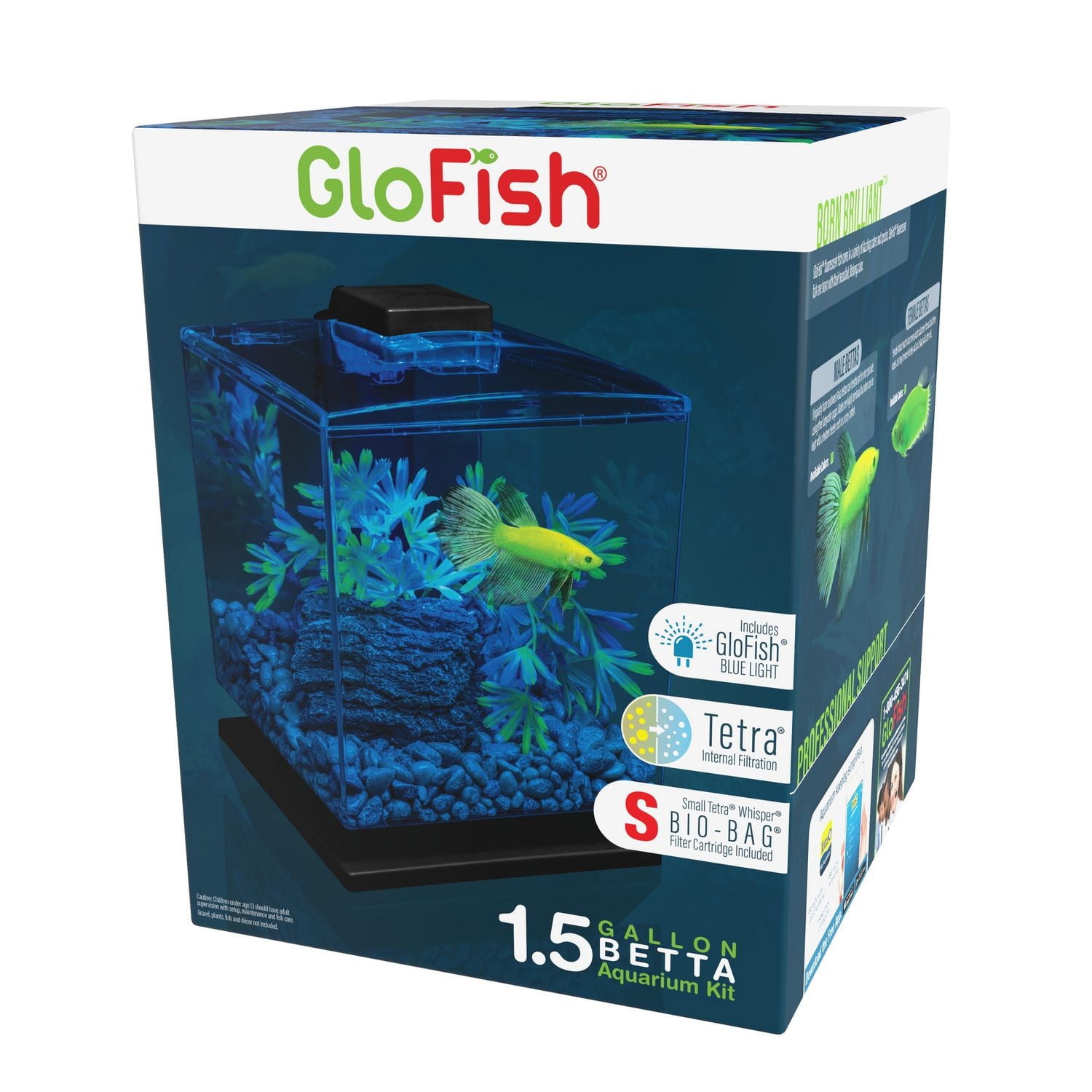 Betta Fish Tank Kit: Ultimate Guide to Perfect Setup & Care