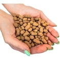 thumbnail image 2 of ⭐ Gardenera Labs Expanded Clay Pebbles – 4mm-16mm LECA Balls | 100% Natural Hydroton Clay for Drainage, Hydroponics, Aquaponics, Terrariums, Orchids & Indoor Plant Growing Medium - 1 Quart, 2 of 6