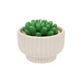 thumbnail image 2 of 16oz. Cream Potted Succulent Candle by Ashland  - Spring Home Decor, 2 of 3