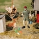 thumbnail image 3 of Figuras De Animales De Granja, Juguetes De Aprendizaje, Figuras Modelo Para Ni?os Peque?os A Sunnimix  figuras de la granja, 3 of 8