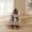 Black, variant on Balance Board Set, A Simulation Surfboard, with Storage Rack, Suitable for Families and Gyms