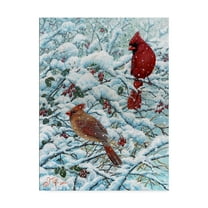 Trademark Fine Art 'Winter Cardinal Painting' Canvas Art by Jeff Tift