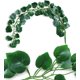 thumbnail image 4 of Plantas de vid colgantes de hiedra artificial verde largo para interiores o exteriores, decoración de la pared del hogar, decoración de la pared del jardín, boda 2 piezas Feliz Sencillez, 4 of 4