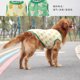 thumbnail image 3 of Camiseta fresca para perros Chaleco de verano para perros Chaleco sin mangas transpirable para perros, 3 of 8