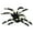 Black, variant on XMMSWDLA Halloween Spider Decorations, 12PCS 1.77inch Spider Outdoor Halloween Decorations Realistic Hairy Scary Spider Props for Indoor, Home, Yard, Party Decor spider web decoration