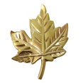 thumbnail image 4 of Brass Leaf Drawer Pulls: Elegant Handles for Stylish Home Décor, 4 of 10