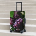 thumbnail image 5 of Travel Luggage Cover Protector - Grape Anti-Scratch Suitcase Covers Fits 18-32 Inch Luggage, 5 of 5