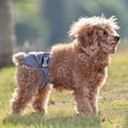 thumbnail image 6 of Mosey Practical Dogs Diapers Soft Touching   for Indoor   Washable, 6 of 7