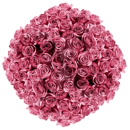 1000 Stems of Solid Lavender Color Roses- Beautiful Fresh Cut Flowers- Express Delivery 1000 Stems of Solid Lavender Color Roses- Beautiful Fresh Cut Flowers- Express Delivery