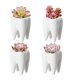 thumbnail image 5 of black Soporte para cepillo de dientes con forma de diente, maceta de cerámica blanca para flores, diseño moderno, Mini regalo de escritorio, 1 Uds., 5 of 5