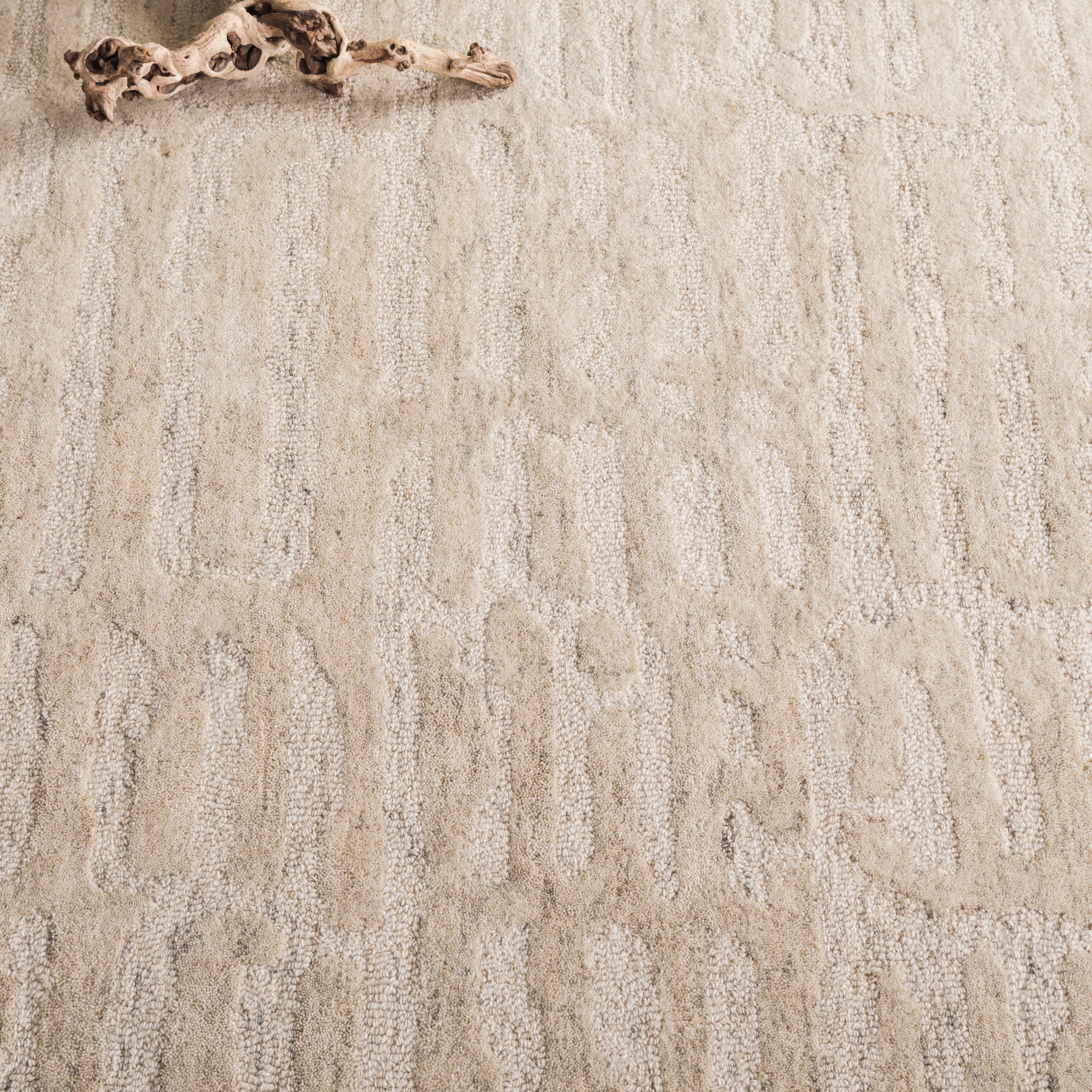 SAFAVIEH Ebony Devereux Distressed Area Rug, Beige, 6' x 6' Round