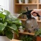 thumbnail image 4 of CaiYueKe Fine Mist Spray Bottle for Plants Cleaning Disinfectant Alcohol Watering Can with Adjustable Nozzle Pressure Sprayer for Home Garden Car Pet Care, 4 of 7