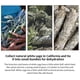 thumbnail image 3 of White Sage Smudge Sticks Sage Smudge Incienso Sticks Uso Para Limpieza Del Hogar Y Rituales De Difuminado De Meditación De Fragancias Minnieouse HA025661-03, 3 of 6