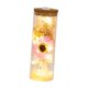 thumbnail image 5 of Flor preservada iluminada, regalo romántico del Día de San Valentín, para siempre, adorno de mesa para Navidad, aniversario, mamá Estilo G, 5 of 9