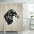thumbnail image 1 of ABPHQTO Animal Raven Head Bird Black Crow Dark Drawing Dibujado Grabado Baño Cortina de ducha 165x180 cm ABPHQTO PKNMT66x72Shower-7782, 1 of 2