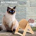 thumbnail image 2 of Miangastore Cat Scratcher Toy Cat Scratching Globe Toy Cat Grinding Claw Toy Rabbit Chewing Toy, 2 of 9