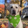 thumbnail image 2 of Dog Bandana 1 Pack,Green Daisy Flower Orange Centers Pattern Bandanas for Dogs,Cat Bandana,Small/ Large Dog Bandana 2 Size,Dog Bandanas Girl Boy, 2 of 6