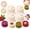 4pcs, variant on Creative Double-Ended Pastry Mold, Double Sided Baking Mold for Cookies
Create beautiful cookies, pastries, and desserts at home with a creative double-ended mold for easy shaping, decorating