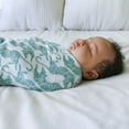 thumbnail image 5 of aden + anais, classic swaddles, dancing tigers 2-pack, 5 of 6