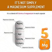 Healblend Multi Magnesium Complex 500mg – 10 Chelated Forms for Sleep, Muscle, Mood & Heart Support – High Absorption – 60 Capsules (2 Pack)